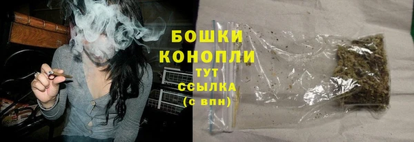 не бодяженный Новозыбков