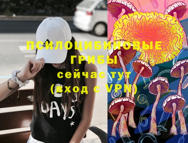 соль курить ск Новодвинск