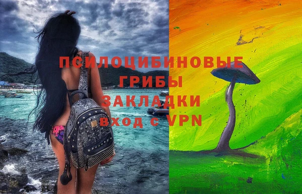 соль курить ск Новодвинск