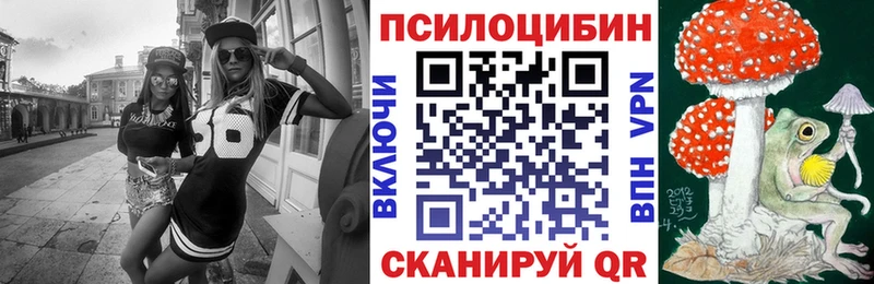 как найти Ладушкин Галлюциногенные грибы Psilocybine cubensis