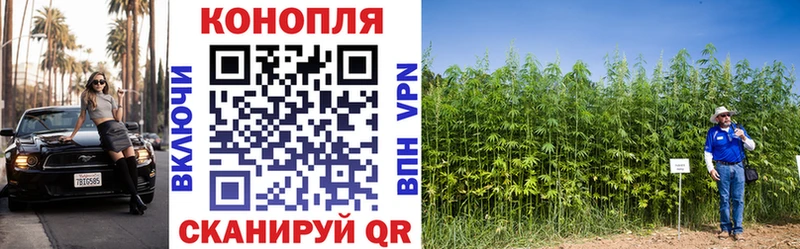 Шишки марихуана OG Kush  МЕГА как войти  маркетплейс официальный сайт  Ладушкин 